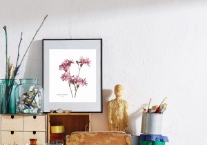 Plakat z rysunkiem Firletka poszarpana 30x34 papier ekologiczny