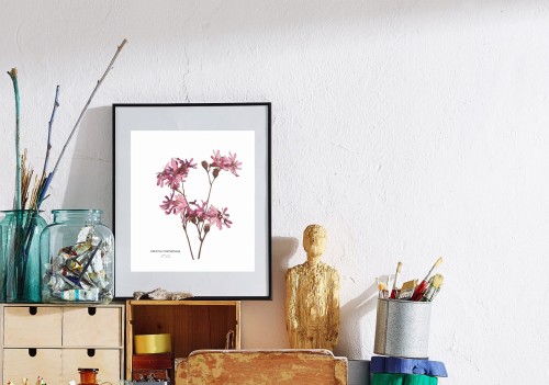 firletka poszarpana rysunek plakat LAS I NIEBO