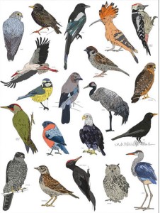 obrus Ptaki biel 150x200