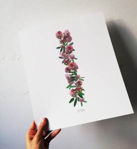 plakat litera I kwiaty polne 30cmx34cm