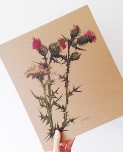 plakat OSTY 02 30cmx34cm