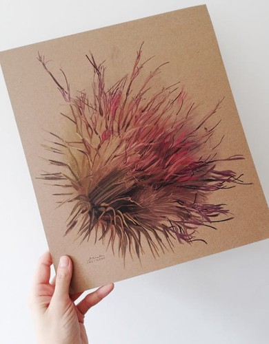 plakat Osty 01 LAS I NIEBO