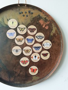 Zestaw 15 magnesów Motyle