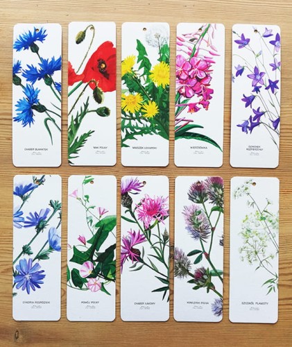zakładki z rysunkami Kwiaty polne LAS I NIEBO