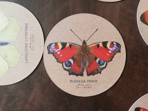 magnes Rusałka pawik