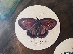 magnes Skalnik driada
