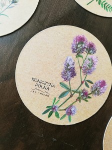 magnes Koniczyna polna