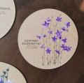 magnes z nadrukiem rysunku Dzwonek rozpierzchły LAS I NIEBO