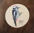 magnes z nadrukiem rysunku Dzięcioł średni LAS I NIEBO