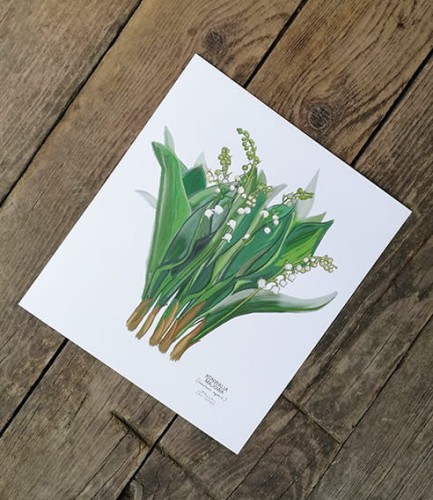 plakat Konwalie 02 biały papier LAS I NIEBO