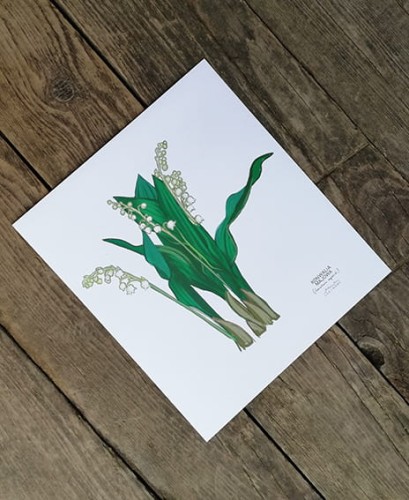 plakat Konwalie 03 biały papier LAS I NIEBO