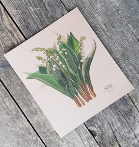plakat Konwalie 02 30cmx34cm brązowy papier