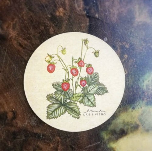 magnes Owoce leśne Poziomka 03 LAS I NIEBO