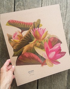 Plakat Grzybień zbiór nr I papier jasnobrązowy 30x34