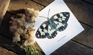 Plakat z rysunkiem Polowiec szachownica 30x34 papier ekologiczny