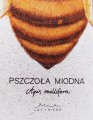 karta dekoracyjna wydruk rysunku Pszczoła miodna LAS I NIEBO