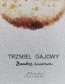 plakat  Trzmiel gajowy LAS I NIEBO