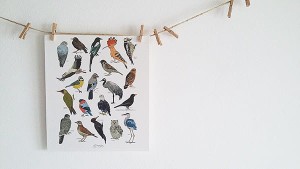 komplet 12 dekoracyjnych kart Ptaki 15cmx17cm