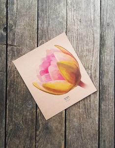 plakat Grzybień KWIAT II papier jasnobrązowy 30cmx34cm