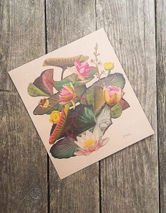 Plakat Kwiaty wodne zbiór nr I papier jasnobrązowy 30x34