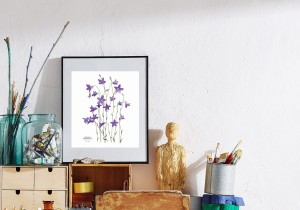 Plakat  z rysunkiem Dzwonek rozpierzchły 30x34 papier ekologiczny