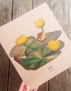 plakat Grążel biały papier jasnobrązowy 30cmx34cm