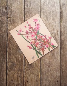 plakat Łączeń baldaszkowy II papier jasnobrązowy 30cmx34cm