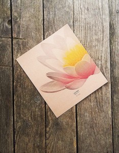 plakat Grzybień biały II papier jasnobrązowy 30cmx34cm