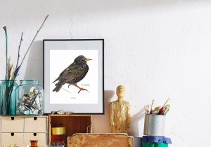 Plakat z rysunkiem SZPAK JESIENIĄ 30CMX34CM