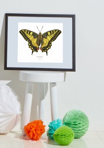 Plakat z rysunkiem Paź królowej 30x34 papier ekologiczny