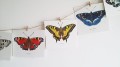 karty dekoracyjne Motyle LAS I NIEBO