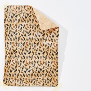 papier pakowy Ptaki B1 (680 x 980 mm)